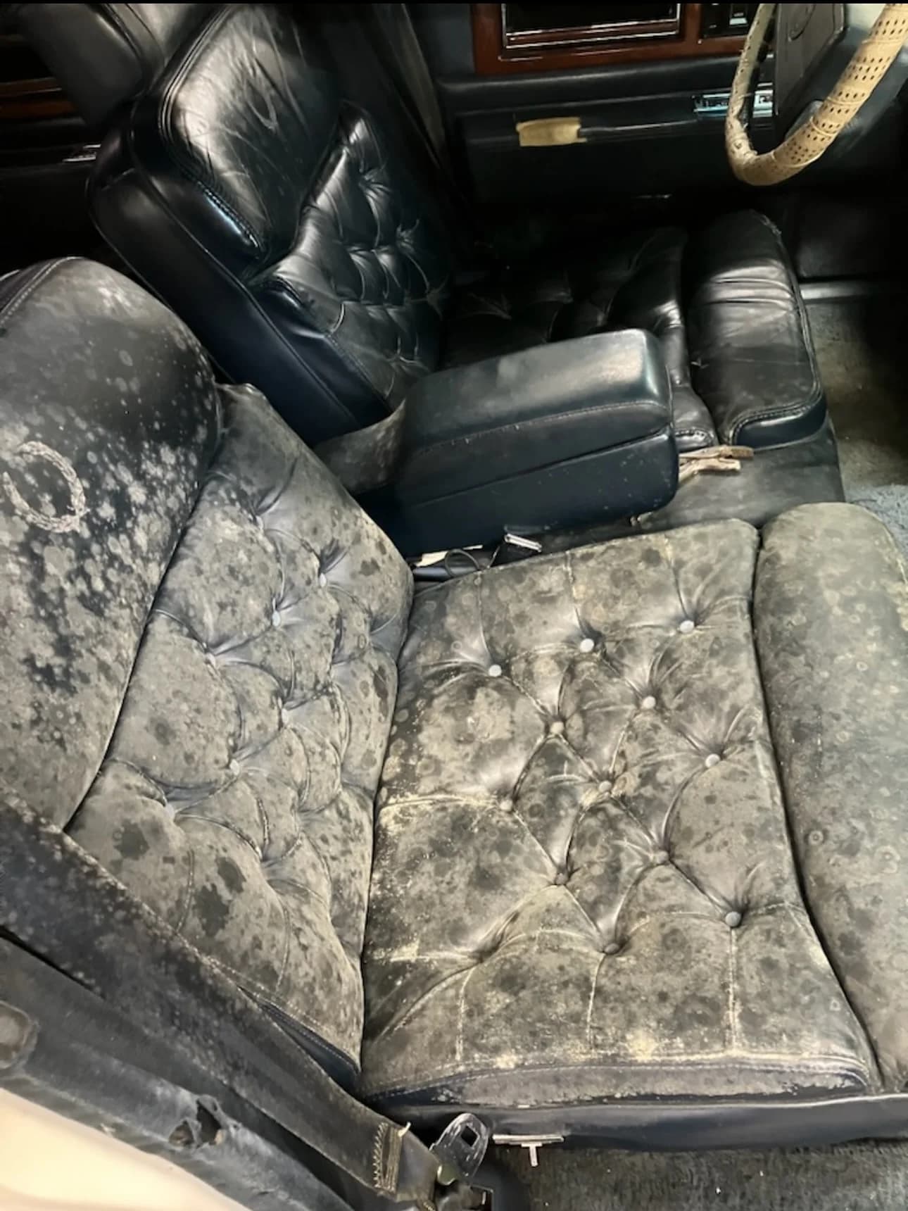 Cadillac Classic rear view after car detailing Amherst NY