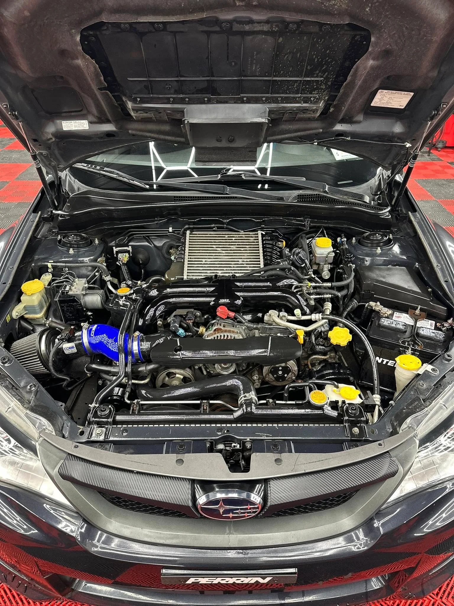 Subaru WRX STI paint protection in Buffalo NY