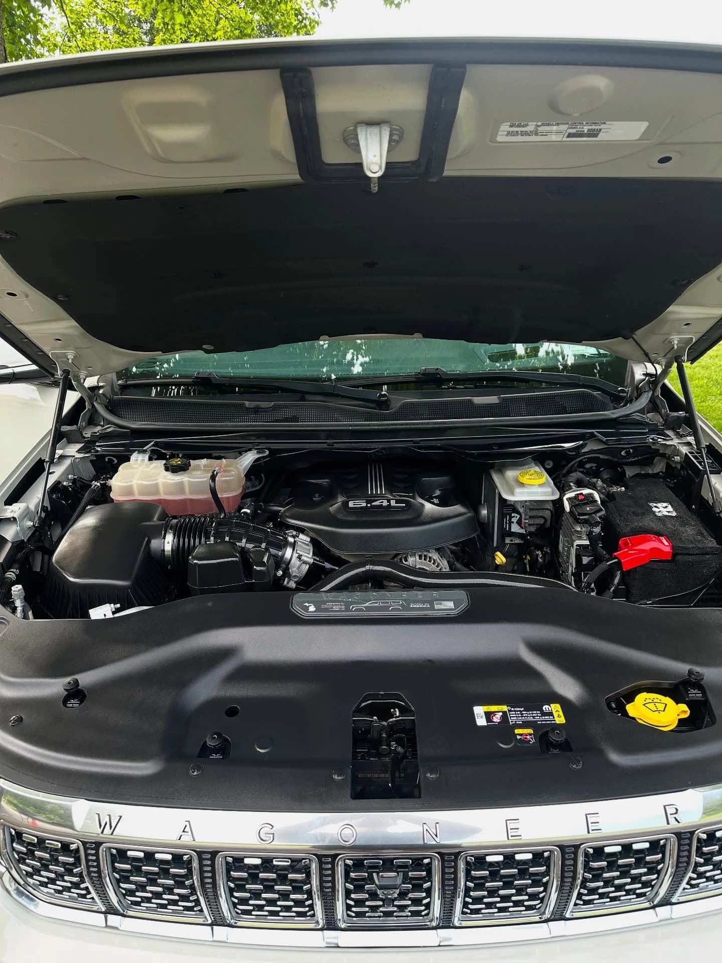 Nissan R32 hood detail work Buffalo NY car detailing